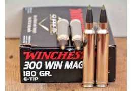 Calibre .300 Win Mag : avis, usages et sélection de munitions pour chasse longue distance