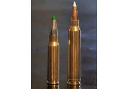 Cartouches Calibre .308 Winchester : Guide d'Achat pour Chasseurs et Tireurs Sportifs