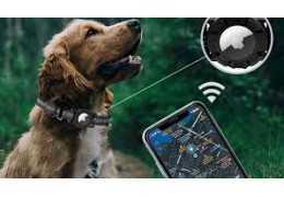Collier GPS pour Chien de Chasse sur Smartphone : Suivi Facile et Sécurité Optimale