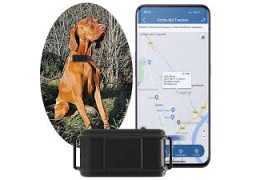 Collier gps pour chien de chasse sur smartphone