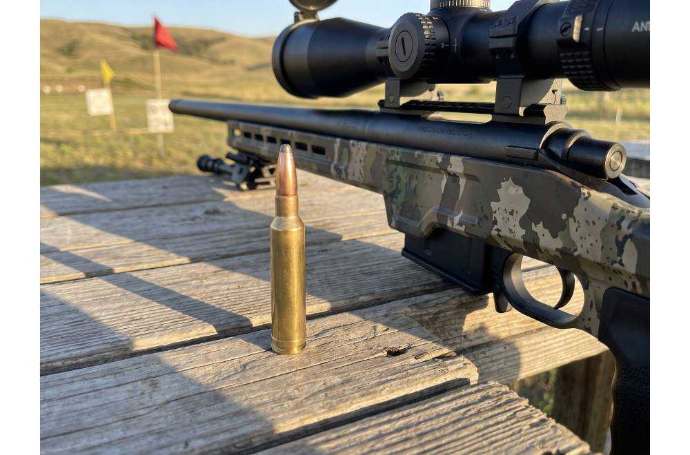 Calibre .300 Win Mag : Budget, Prix et Rechargement | Armurerie NéA
