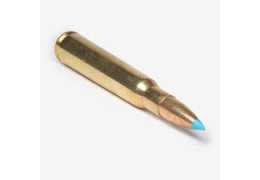 Avis sur la balle 30-06 vendue chez Decathlon : une alternative plus performante avec la Winchester Extreme Point 180 grains