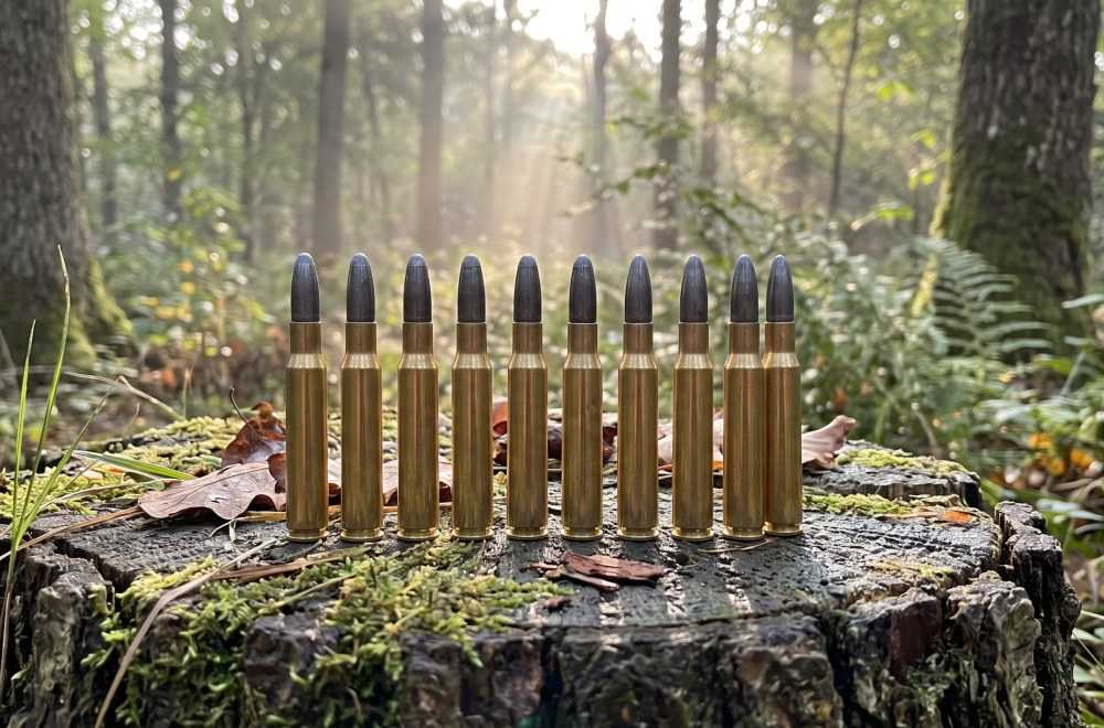 Balle 30-06 en 220 grains : le choix lourd pour le grand gibier