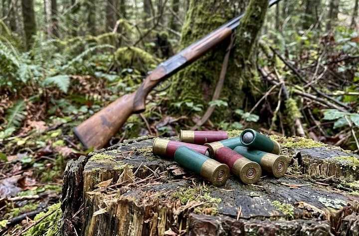 Balle Brenneke calibre 12 : performance et précision pour le tir de gros gibier