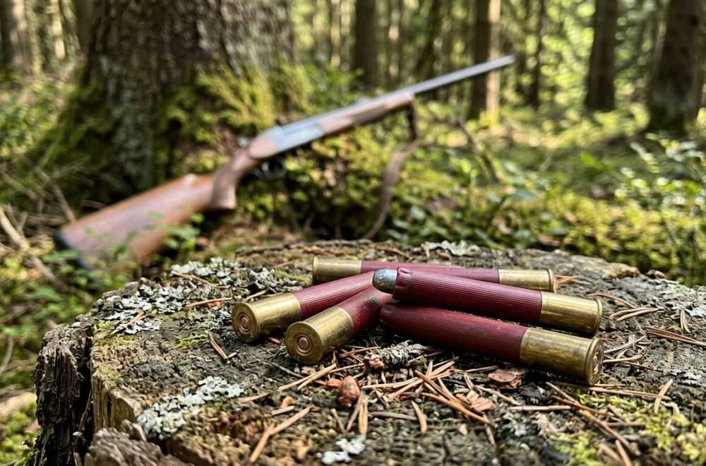 Balle calibre .410 pour le sanglier : guide et comparatif