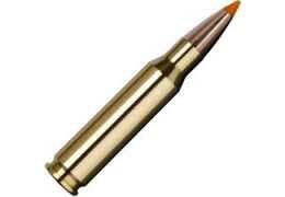 Balle de chasse : guide complet pour choisir la munition adaptée au gros gibier