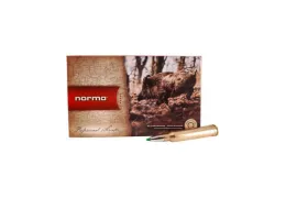 Balle Norma .300 Win Mag 180gr PPDC : avis d'expert sur une munition de précision