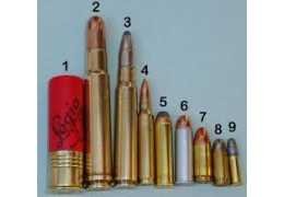 Balles pour .22 LR : que choisir pour le tir de loisir, le petit gibier ou l'entraînement ?