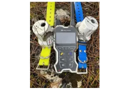 Beeper Chien d'Arrêt : L'Outil Indispensable pour Maîtriser l'Art de l'Arrêt au Gibier