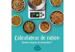 Calcul de ration de croquettes pour chien : comment adapter la portion à ses besoins énergétiques