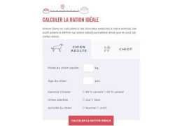 Calcul de la ration de croquettes pour chien stérilisé : méthode simple et efficace