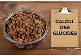 Calculateur de Glucides dans les Croquettes : Comprendre l'Énergie Métabolisable pour une Ration Optimale