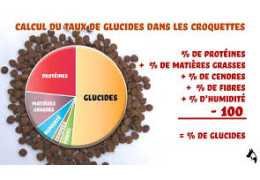 Comment calculer les glucides dans les croquettes pour chien : méthode et utilité