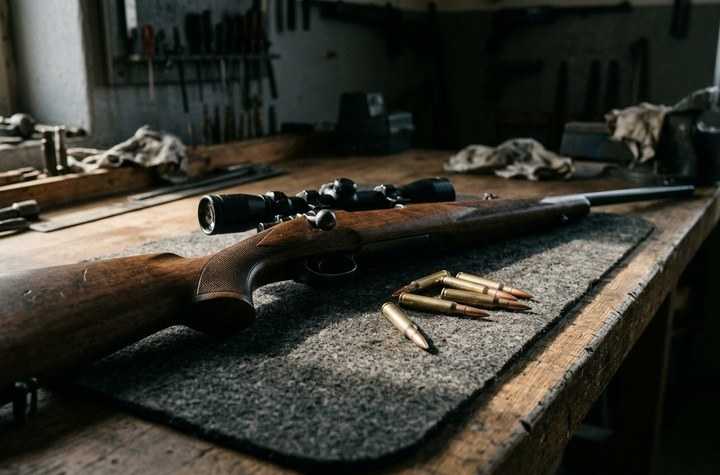 Calibre .22 Hornet : Guide Complet | Armurerie NéA