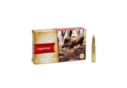Calibre .300 Win Mag : avis complet pour chasseurs exigeants