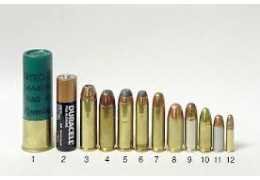 Calibre munition : guide complet pour bien choisir vos cartouches