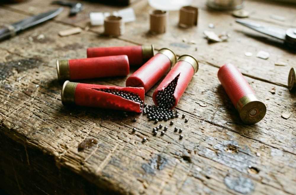 Cartouche plomb n°0 : précision et puissance pour la chasse au calibre 12