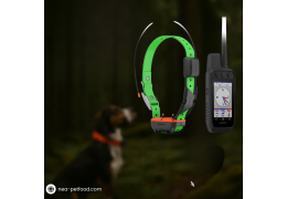 GPS Chasse Chien : L'Outil Indispensable pour la Sécurité et l'Efficacité au Grand Air