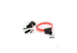 Collier beeper pour chien d'arrêt : l'outil essentiel pour la chasse