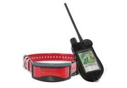 Collier chien avec GPS