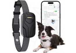 Collier Chien GPS Téléphone : Suivez Votre Compagnon Depuis Votre Mobile
