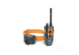 Collier Dogtra 2600 TB : L'Optimisation de l'Éducation Canine pour le Chien Bécassier