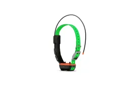 Collier Garmin TT25 : précision maximale et dressage intégré pour chiens de chasse