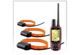 Collier GPS pour chien de chasse : guide complet pour un suivi précis et efficace