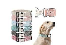 Collier pour chien femelle : robuste, personnalisé et confortable