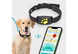 Collier pour chien GPS : guide technique pour un suivi fiable en chasse