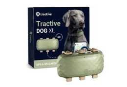Le Collier GPS Tractive : Révolutionnez le Suivi de Votre Chien en Temps Réel