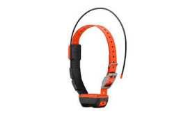 Le Collier GPS Garmin chez Decathlon : Une Référence pour la Chasse et le Dressage