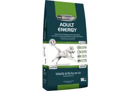 Croquettes pour chien de chasse : guide complet pour bien nourrir votre compagnon