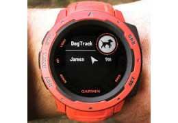 Dog Track Garmin : Le GPS de référence pour localiser votre chien en temps réel