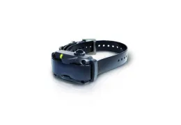 Dogtra collier anti aboiement : guide complet sur le modèle YS600 rechargeable pour grands chiens
