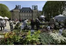 Fête des Plantes à Saint-Jean de Beauregard : les lauriers verts