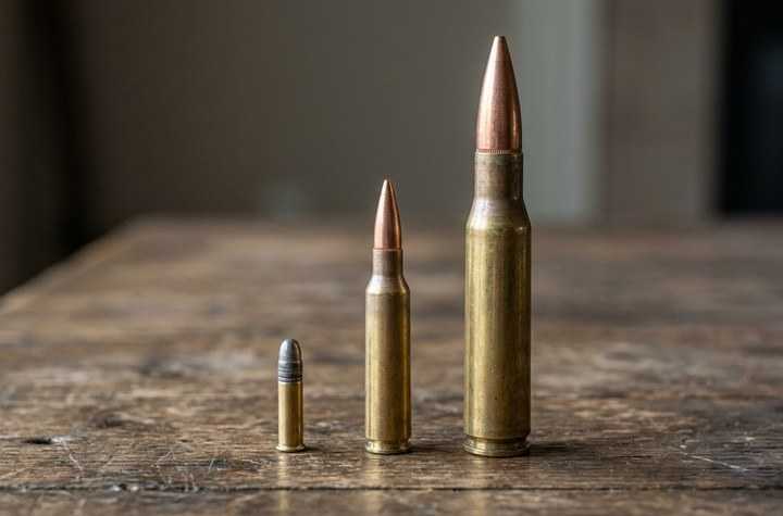 Guide des calibres pour le tir sportif : Du 22LR au .308 Winchester