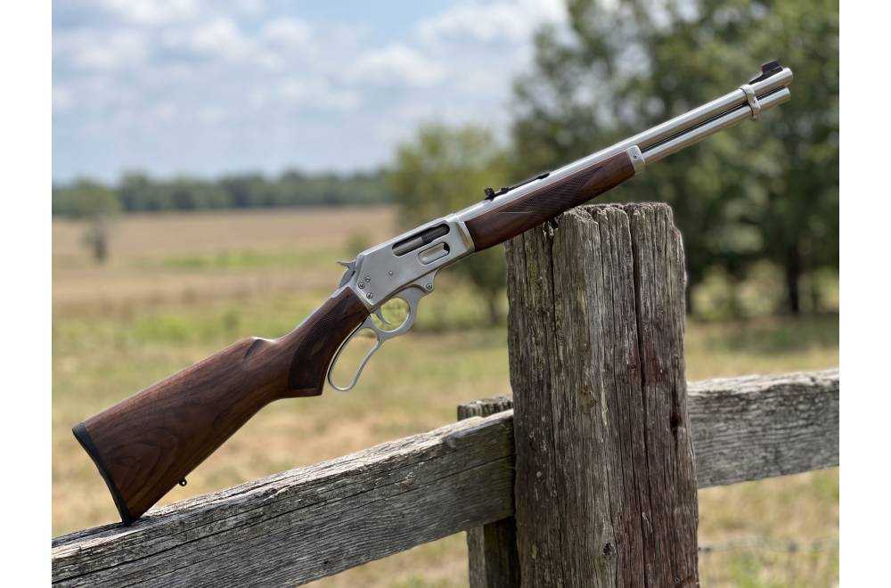 Le .44 Magnum en Battue au Sanglier : Un Calibre Adapté ? | Armurerie NéA