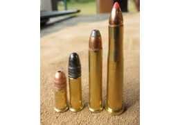 Long 22 : comprendre le calibre .22 Long et .22 Long Rifle pour bien choisir votre carabine