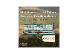 Mallette pour carabine avec lunette : transport sécurisé et rangement optimisé