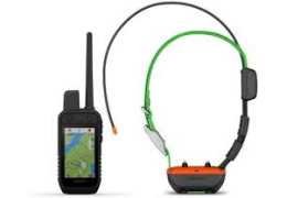 Meilleur collier GPS chien de chasse : comparatif et conseils