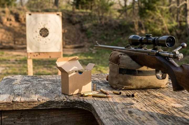 Meilleure munition 22LR pour carabine : laquelle choisir selon l'usage ?