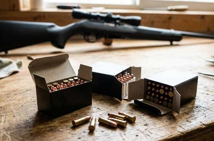 Meilleures munitions pour Rossi 8122 : lesquelles choisir ?