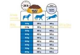Poids de Croquettes pour Chien : Comprendre l'Énergie Métabolisable pour une Ration Idéale
