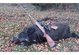 Quel calibre choisir pour la chasse au sanglier ? Guide technique et comparatif