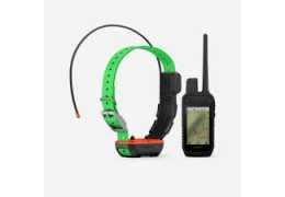 Optimisez la surveillance canine avec le traceur GPS Chien Decathlon